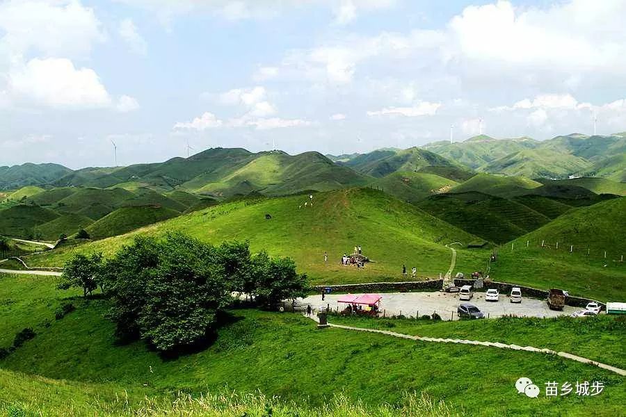 城乡建设        8月18日,城步县人民政府联合湖南南山国家公园管理局